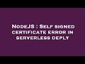 NodeJS : Self signed certificate error in serverless deply