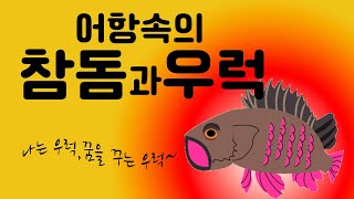 집에서 보는 참돔 과 우럭~