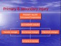 Spinal Cord Injury with IVDD