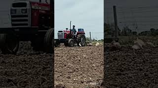 Massey Ferguson cultivator Power 👑#massey #cultivator #video #punjabi #shorts