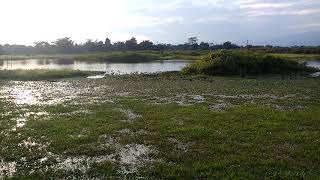 Satajan Bird Sanctuary 2