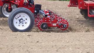 Tilmor Basket Weeder and Tine Weeder Duo