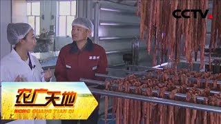 《农广天地》 20180201 奈曼旗的风干味道 | CCTV农业