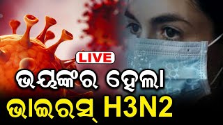 Live ଭୟଙ୍କର ହେଲା ନୂଆ ଭାଇରସ ! H3N2 Virus Reported In Odisha|Corona Virus | Influenza