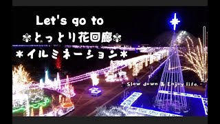 Let’s go to とっとり花回廊＊イルミネーション＊