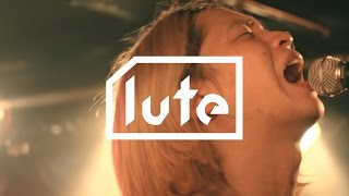 lute live  : シャムキャッツ「マイガール」