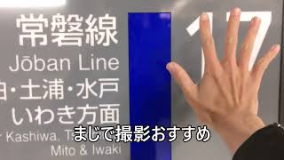 E653系 臨時特急ときわ号上野駅17番線発車風景の巻