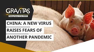 Gravitas: China | A new virus raises fears of another pandemic