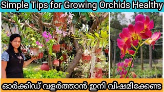 12 Orchid Care Tips for any Beginner | ഓർക്കിഡ് വളർത്തുമ്പോൾ നമ്മൾ അറിഞ്ഞിരിക്കേണ്ട 12 കാര്യങ്ങൾ