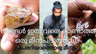 നിങ്ങൾ ഇതുവരെ കണ്ടിട്ടില്ലാത്ത ഒരു  മീൻപിടുത്തവും| പേരറിയാത്തൊരു മീനും|MR Gramavassi