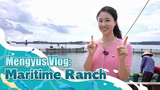 Mengyus Vlog: Maritime Ranch