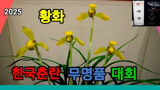 [난초] 3편  한국춘란 봄 전시회 찾아서 (합천군) 무명품 전국대회 판매전 #난초 #한국춘란 #난초DNA