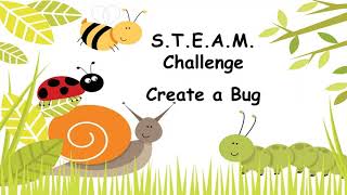 Bug STEAM Projects