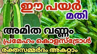 ഇറച്ചിപോലെ ഈ പയർ! അത്ഭുതഔഷധം|അമിതവണ്ണംഅകലും  |പ്രമേഹം കാണാതെപോകും |ചതുര പയർ|winged Beans