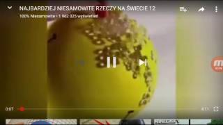 Niesamowite i dziwaczne rzeczy