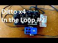 Ditto x4 - In the Loop #2