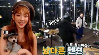 강아지가 미국친구 티파니를 만나면 생기는 일 | 소녀시대 태연 효연 반려견 발음 차이