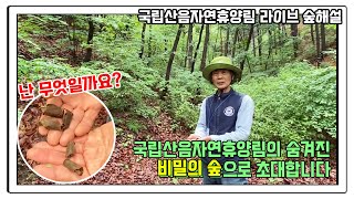 숲해설가가 전해드려요! 국립산음자연휴양림의 자연과 곤충이야기