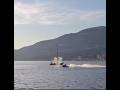 Jet-ski rider collides with whale