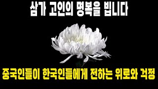 중국반응ㅣ제주항공 사건에 중국인들이 한국인들에게 전하는 위로와 추모