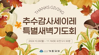 [개포교회 추수감사세이레특별새벽기도회] 2024.10.28 (월) l 매일의 은혜에 감사하라 l 시편 118:21-29 l 이상혁 담임목사