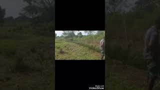 Farm land expansion and fencing Farm land expansion and fencing