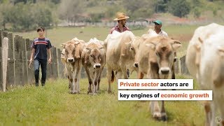 Engaging the Private Sector in National Adaptation Planning Processes