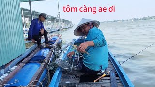 Cách Câu Dính Tôm Càng Xanh: Bí Quyết Đơn Giản Nhưng Hiệu Quả Cao #cautomsong #culaotayvlog