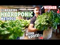 Deep Water Culture vs Kratky Hydroponics