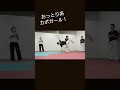 カポエラ少女地味にスゴ技オンパレード！ capoeira カポエイラ カポエラ アクロバット 格闘技 格闘技女子 総合格闘技 shorts