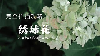 [#9-Amber's Garden花园篇]最全面的绣球扦插攻略|如果绣球扦插你总是失败，这一篇一定能让你成功Hydrangea propagation from cuttings