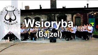 Orkiestra Dęta Katowice\u0026Ludzie z Bogucic\u0026Bajzel - Wsioryba (Bajzel) - Larmo w Bogucicach