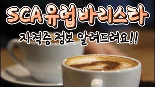 SCA유럽바리스타자격증, 유럽바리스타자격증에 대해 궁금하셨다면?