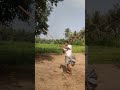 சிலம்பத்தின் சிறப்பான பாடம் முறை .... silambam kuthuvarisai exercise nagam16 trending