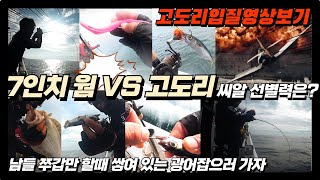 [풍낚TV] 광어다운샷/9월19일 남들 쭈갑문 할때 쌓여있는 광어잡자/7인치웜 VS 고도리의 씨알 선별력은?/고도리입질 초릿대영상/영복1호/Flatfish fishing