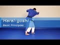 Harai-goshi - Basic principles