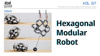 Hexagonal Electrohydraulic (HEXEL) Modules: High-Speed Robot