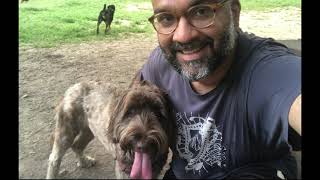 Sir William's Dog Run: 2-minute video