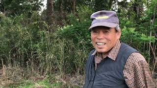 (第158話)【南大溜袋遺跡にて最初の石器発見考古学者さんに出会う！】ELCAFLORAエルフロMitsukoのトキジク日記