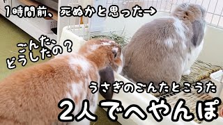 【危険】へやんぽの1時間前、窒息して死ぬかと思った#307