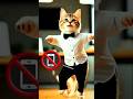 cat entertainment  dance #cat #animaldance #petdance #cute #catdance