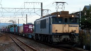 JR貨物　EF64-1019[愛]3075レ　2014.12.15