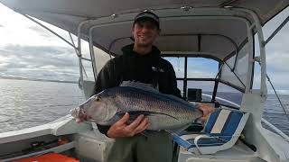 Bremer Bay Squid n Snapper FULLBAG