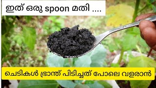 ഇത് ഒരു spoon മതി. ചെടികൾ ഭ്രാന്ത് പിടിച്ചത് പോലെ വളരാൻ|vam care Malayalam