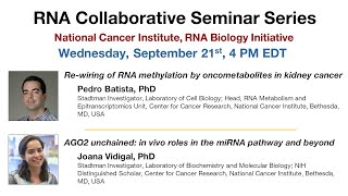 RNA Collaborative - NCI RNA Biology Initiative, September 21, 2022