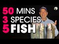 50 Mins, 5 Fish, 3 Species: My QUICK Beach Fishing Strategy for SUCCESS