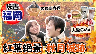 福岡3日2夜Ep2｜福岡紅葉絕景秘點｜人氣打卡Cafe食大Pancake＆100%國產牛漢堡包｜任摘超大超甜富有柿｜JOY TV