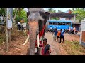 ushasree sankarankutty u0026 akkaramel mohanan mass entry sweekaranam at kattakambal pooram 2023