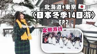 日本冬季14日遊 EP2 : 北海道-旭山動物園/山頭火拉面/JR塔展望室T38 | JAPAN VLOG 2018 | YUICHIA