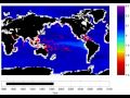 Ocean Acidification